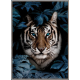 Tableau LION, Bleus et Noirs,  84 x 124