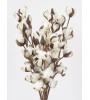 FLORA branche boule coton. Fleur artificielle déco naturelle