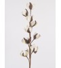 FLORA branche boule coton. Fleur artificielle déco naturelle