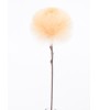 BUNCH branche pompon crème – Fleur artificielle déco 90 cm