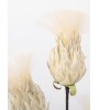 Branche artificielle BUNCH - Fleurs plume ivoire, Décoration florale