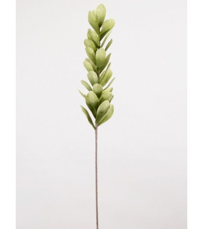 FLORA.LILOU, branchage feuilles vertes. Décoration végétale.