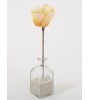 Fleur Artificielle FLORA CREA Abricot. Déco chic et naturelle