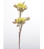 FLORA branche fleurs doubles vertes 85 cm – Lumiland