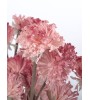 FLORA TEA branche fleurs boules 107 cm – Rose & Orange | Lumiland
