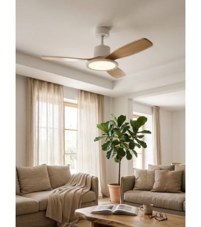 Ventilateur plafonnier RIGA II LED | Lumiland