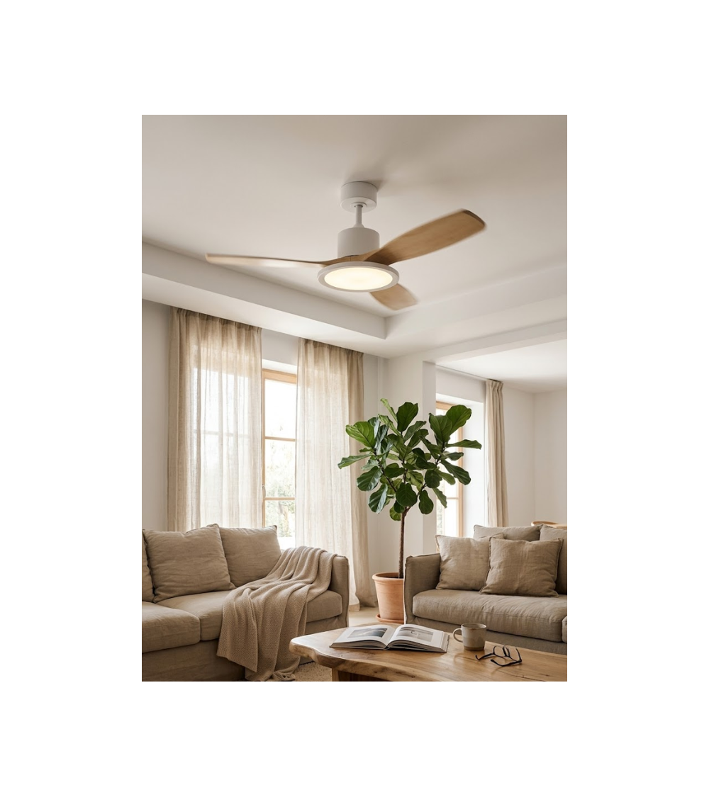 Ventilateur plafonnier RIGA II LED | Lumiland