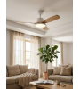 Ventilateur plafonnier RIGA II LED | Lumiland