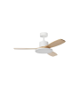 Ventilateur plafonnier RIGA II LED | Lumiland